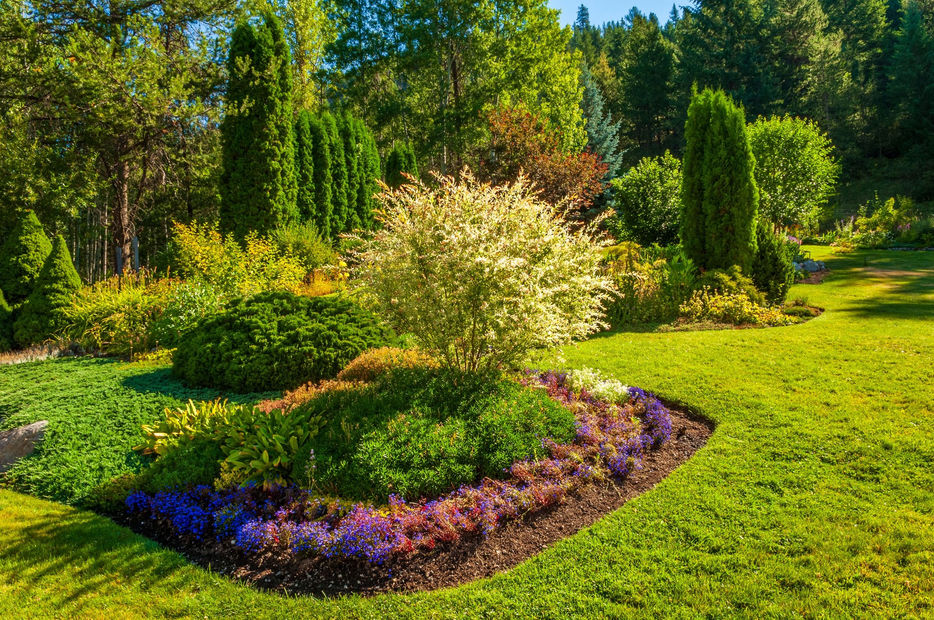 Colourful Flowers and Plants in a Garden